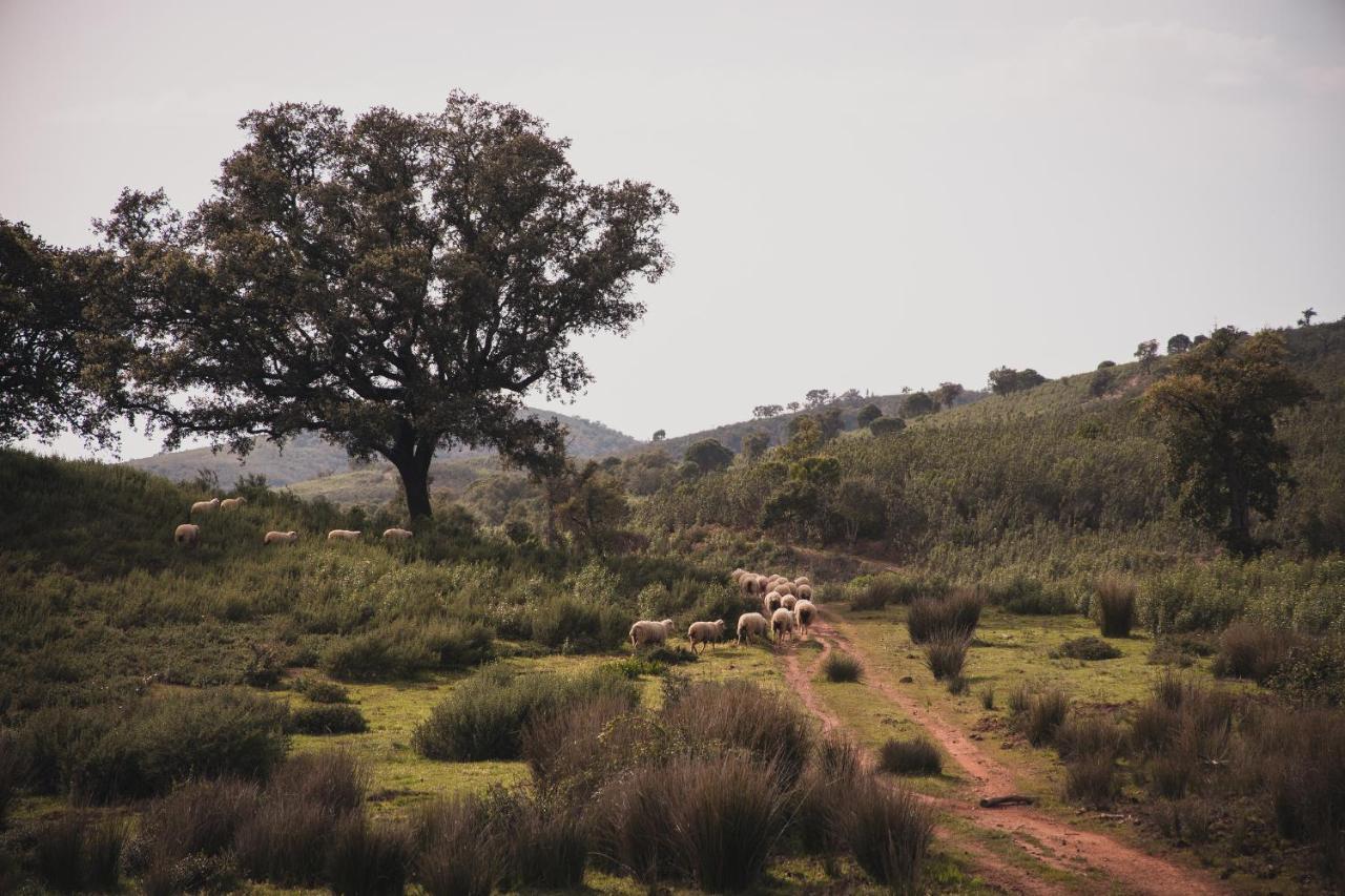 Quinta Do Freixo Villa Benafim ภายนอก รูปภาพ