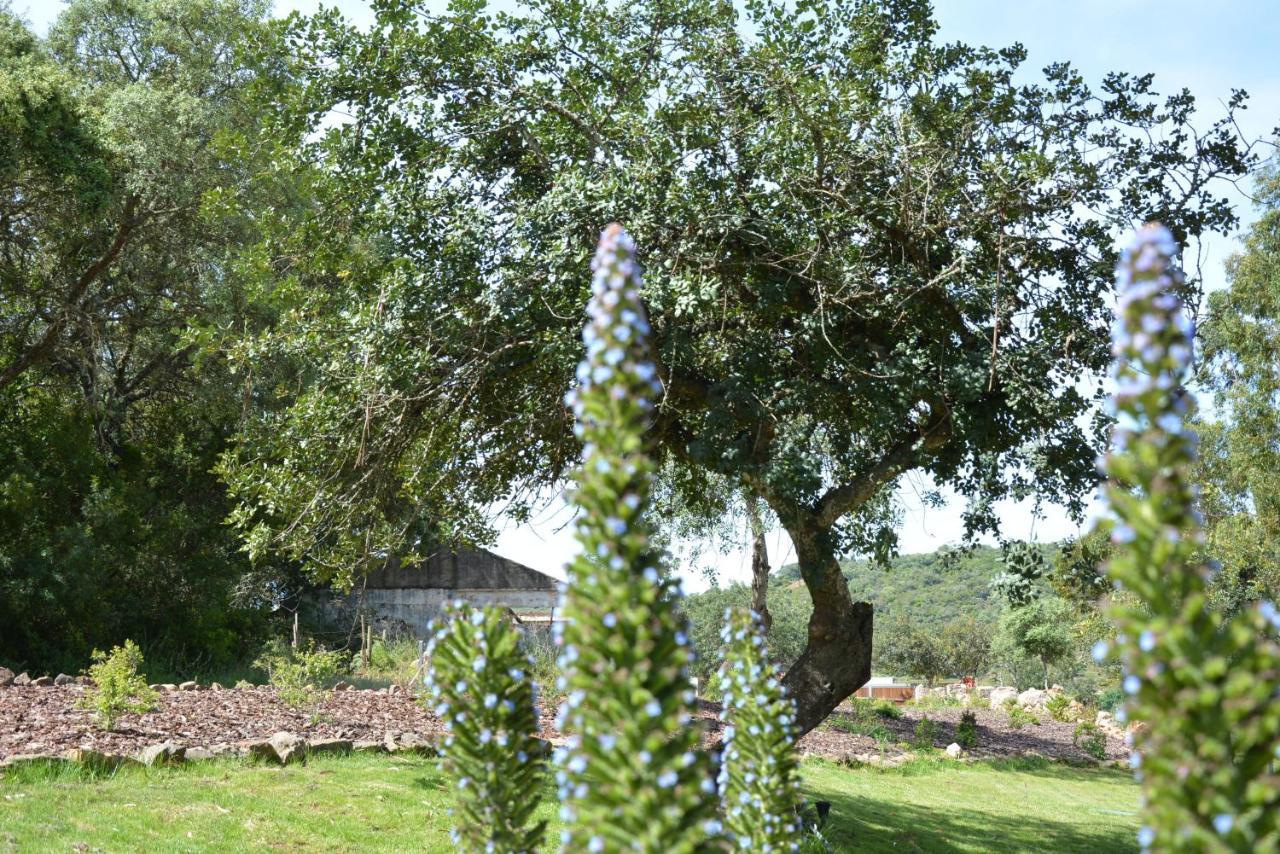 Quinta Do Freixo Villa Benafim ภายนอก รูปภาพ