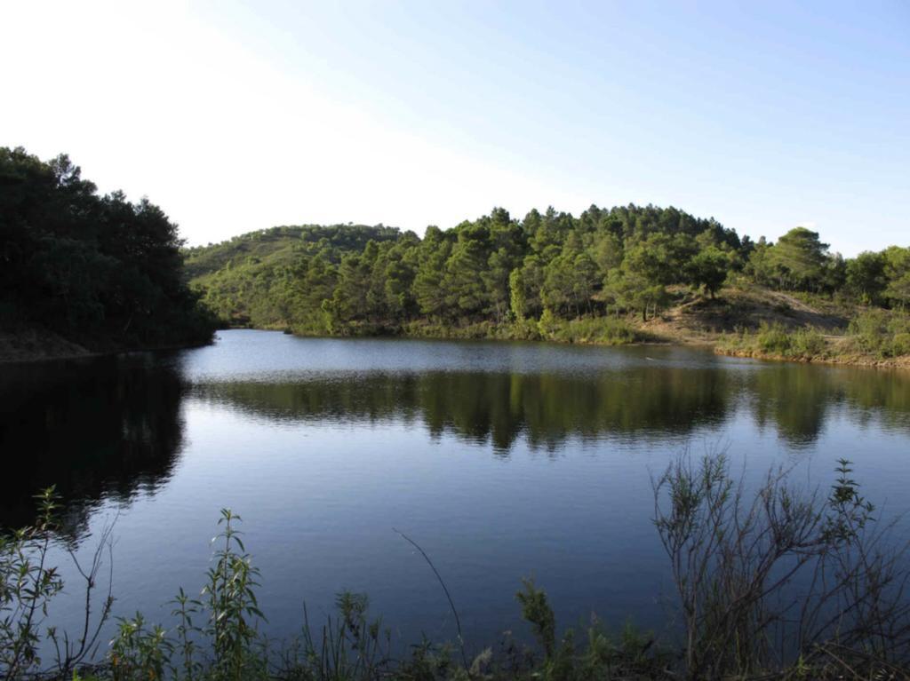 Quinta Do Freixo Villa Benafim ภายนอก รูปภาพ